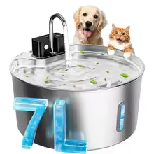 Pet Water Fountain