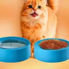 Nordic PetFeederTM — Automatic Food & Water Dispenser