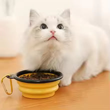 TPE dog bowl cat bowl wear-resistant and durable pet folding bowl travel outdoor drinking water feeding portable pet bowl