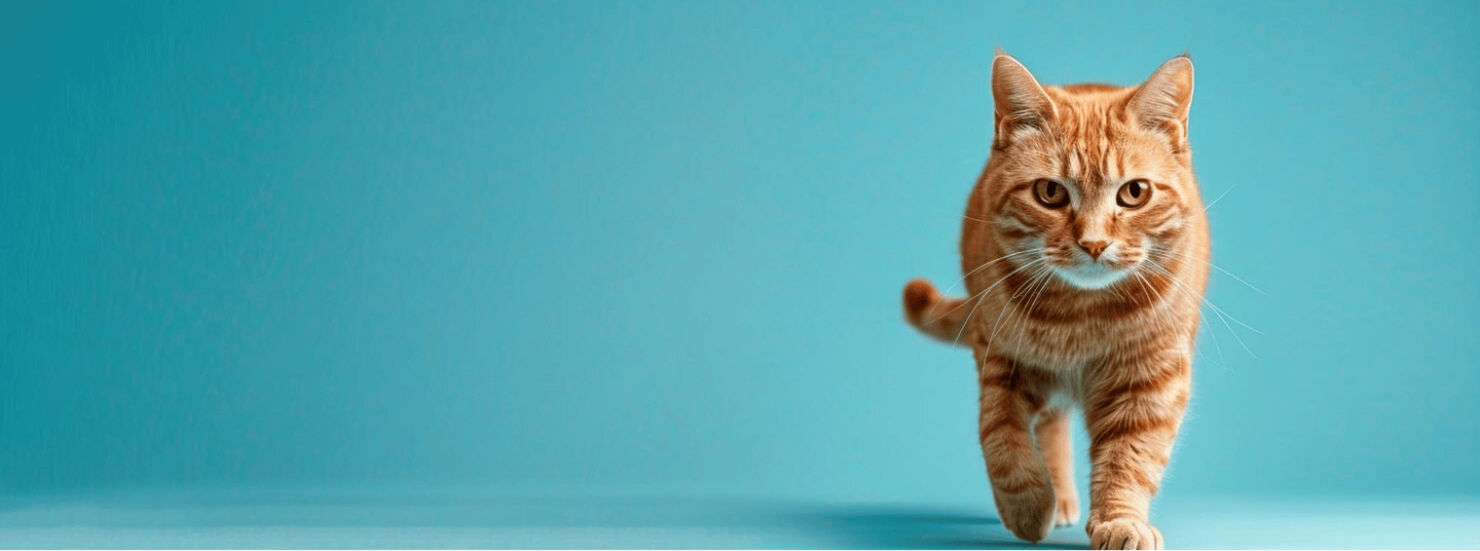 slider image 1621243260e1af0c20-1